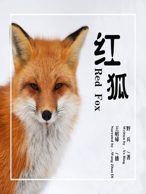 cover image of 红狐